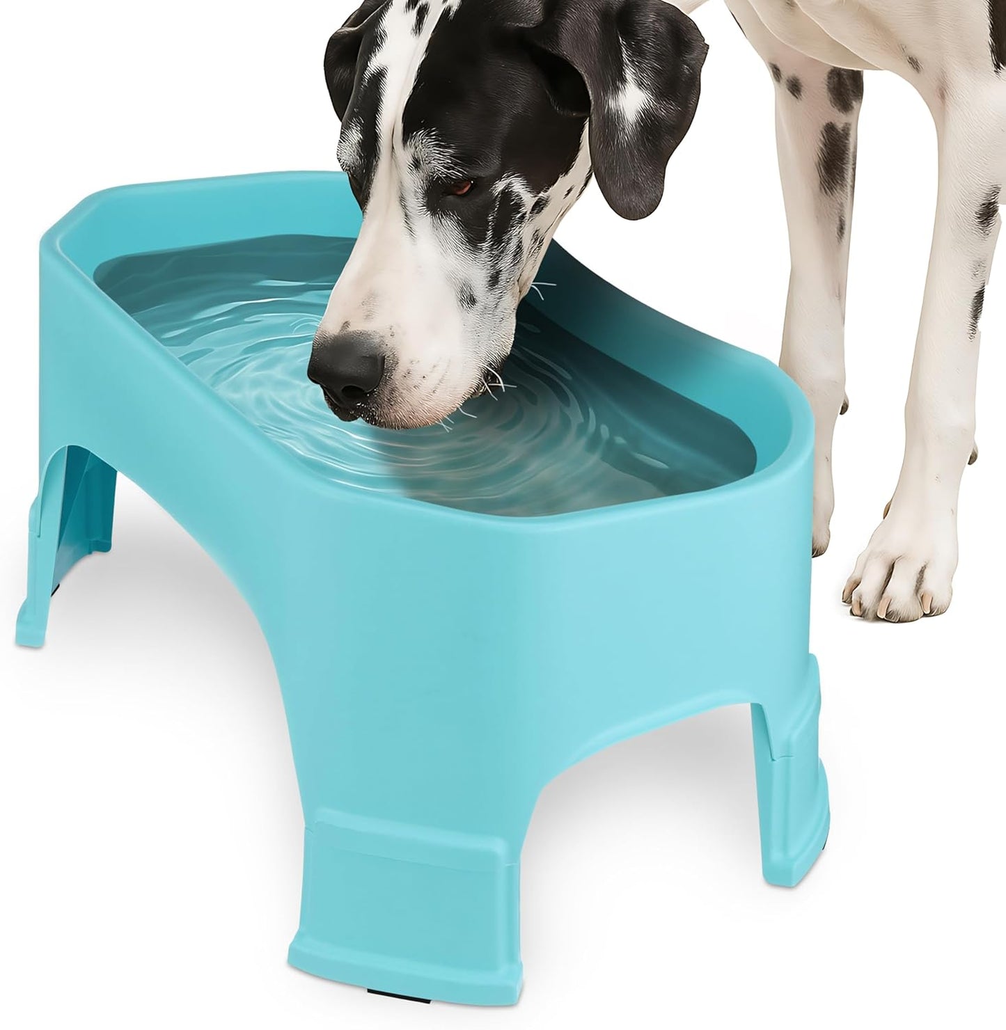 Extra Large Raised Dog Water Bowl (2.25 Gallon XL Capacity)