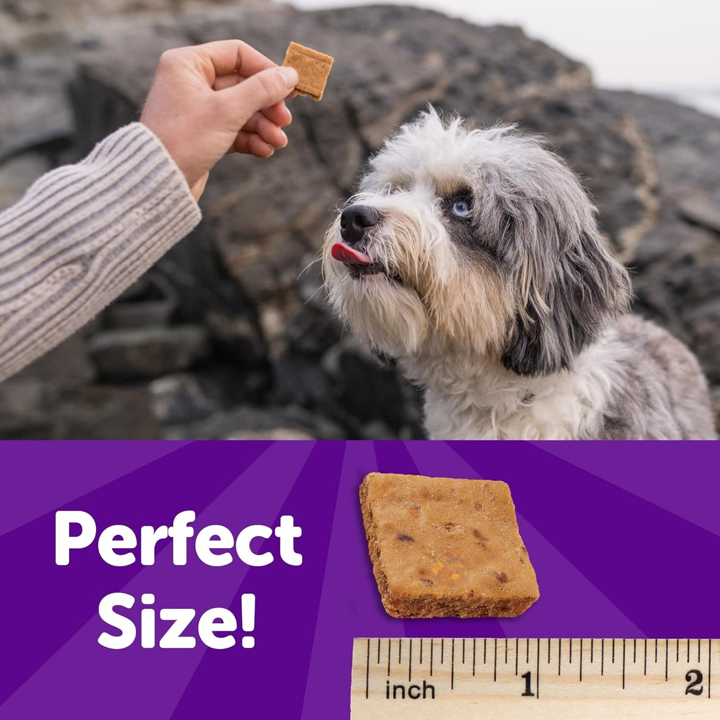 Rewarding Life Dog Treats