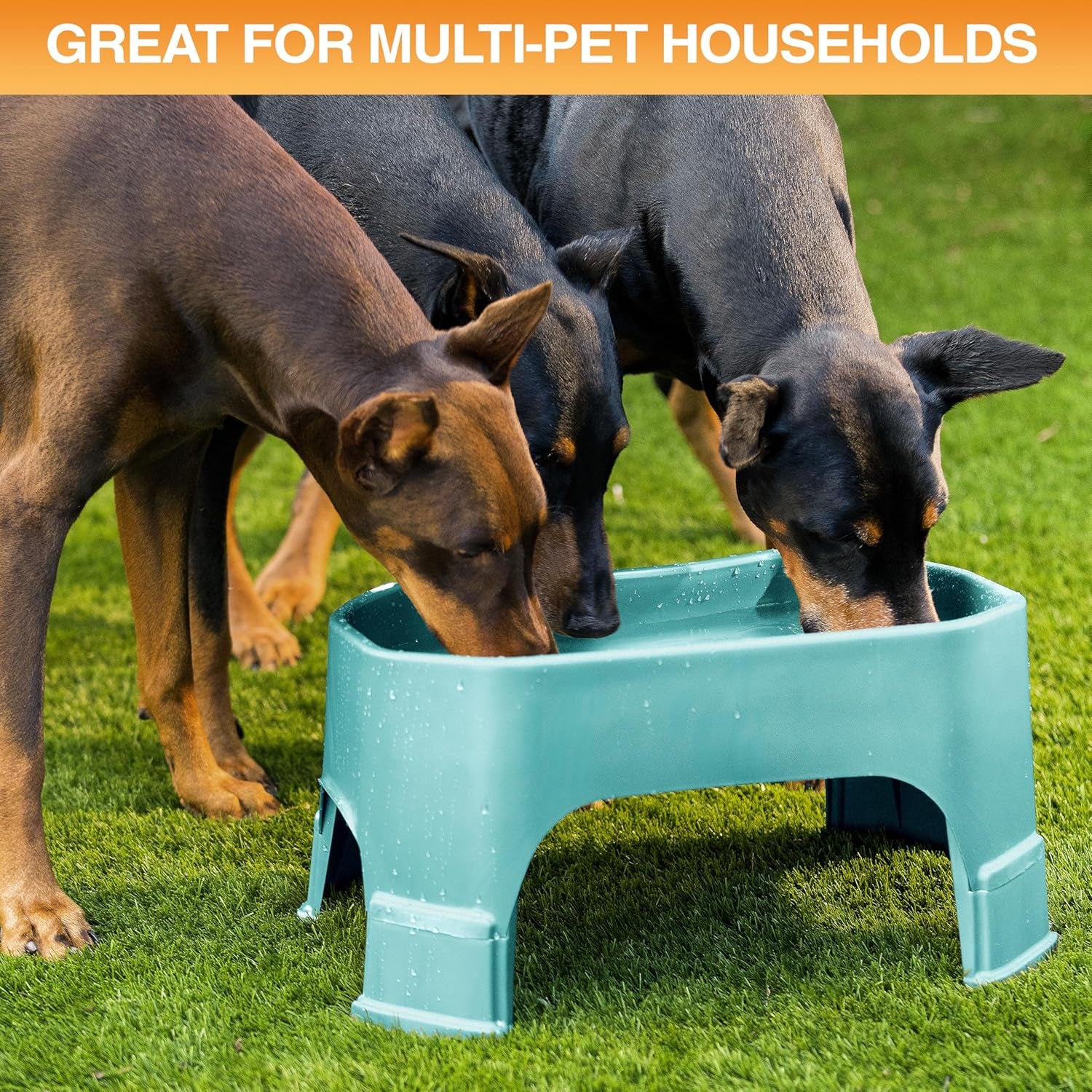 Extra Large Raised Dog Water Bowl (2.25 Gallon XL Capacity)