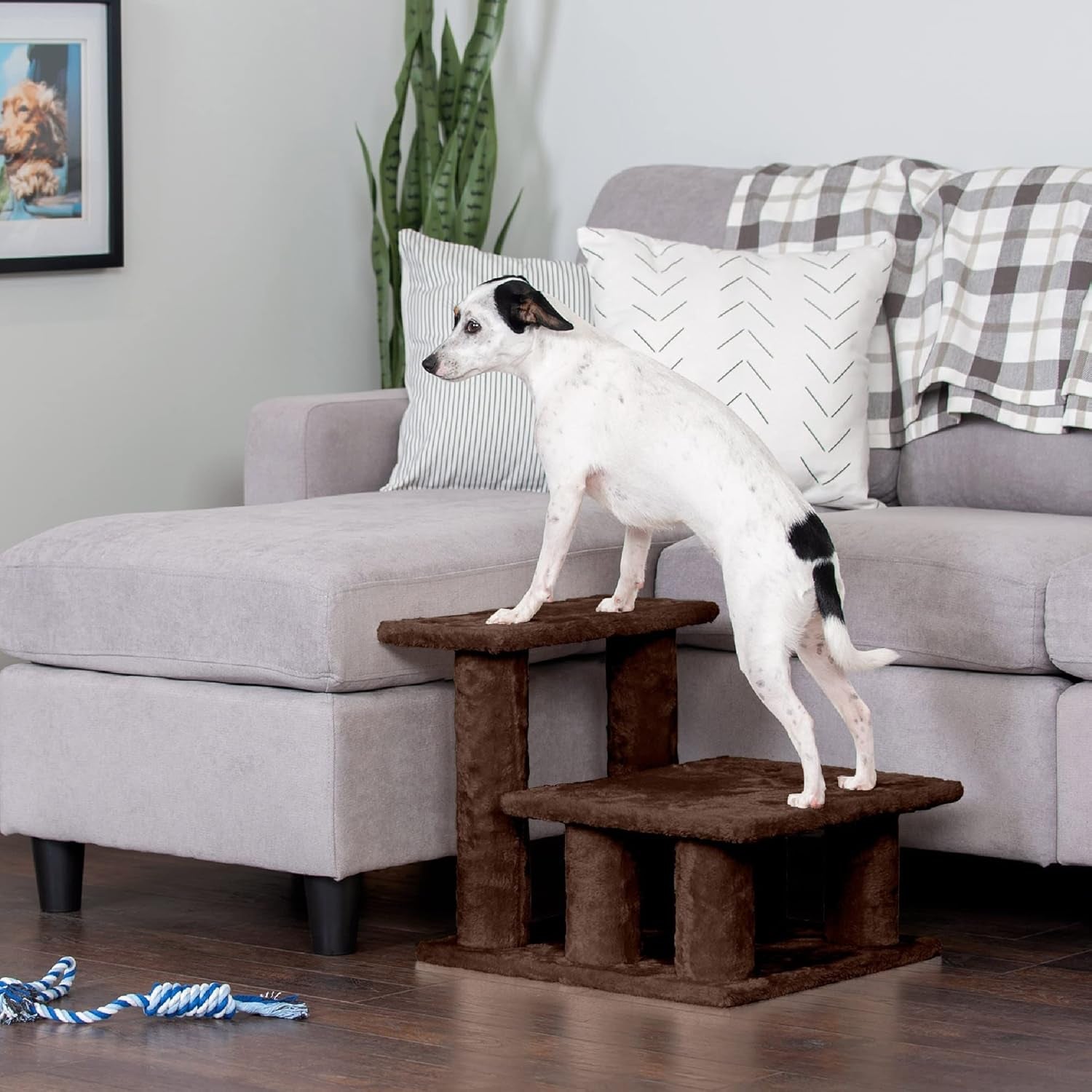 Steady Paws 3-Step Pet Stairs for High Beds & Sofas