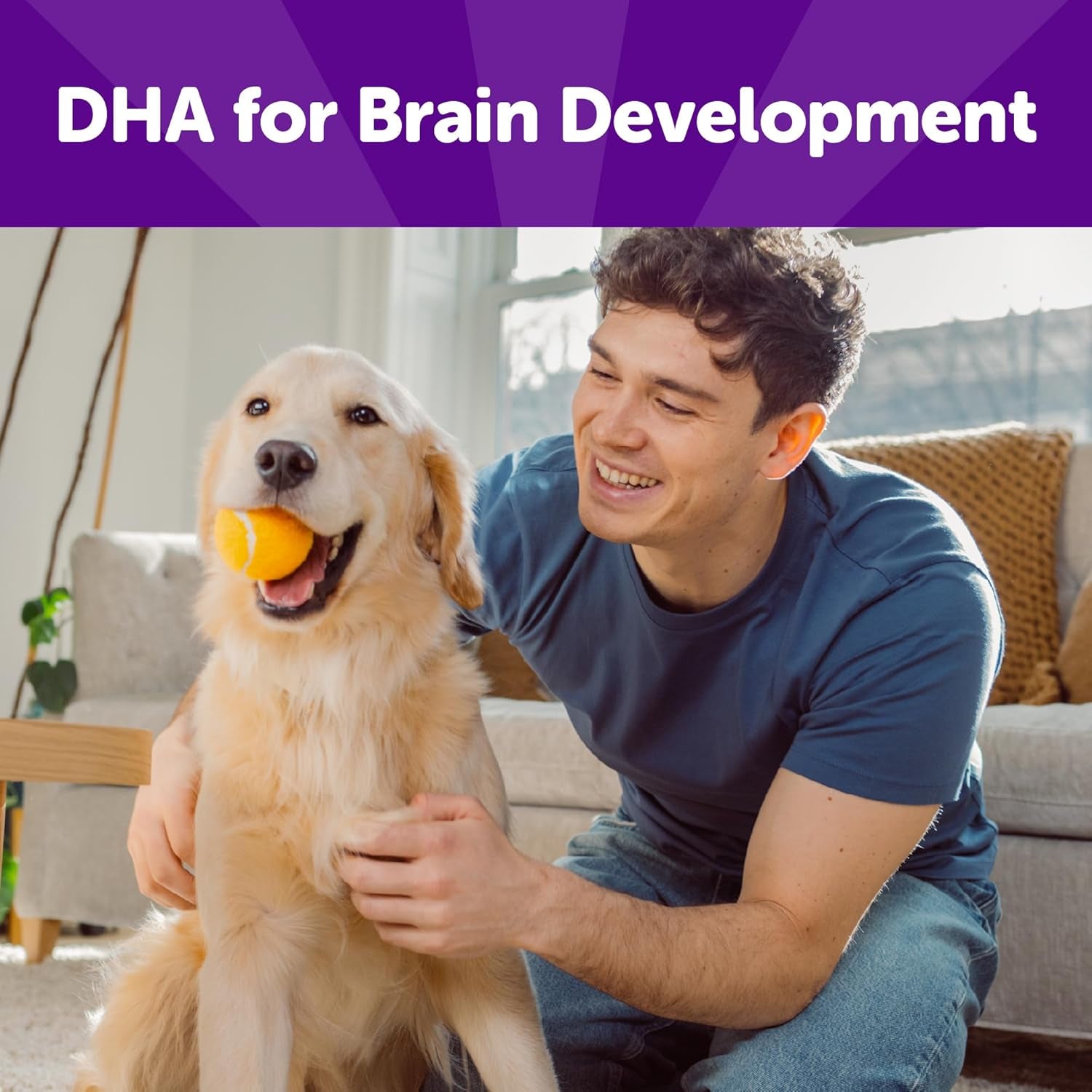Rewarding Life Dog Treats