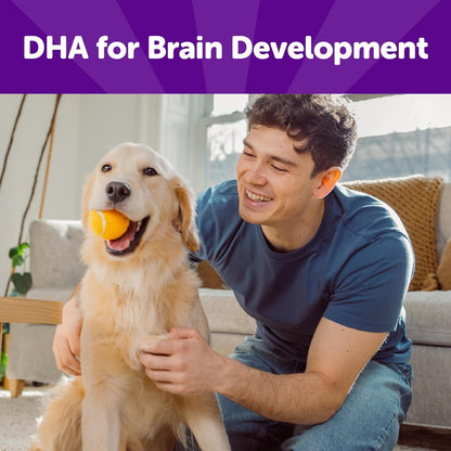 Rewarding Life Dog Treats