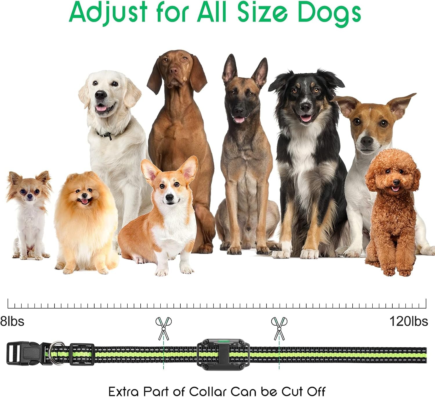 Dog Training Collar with 2600 Ft Remote