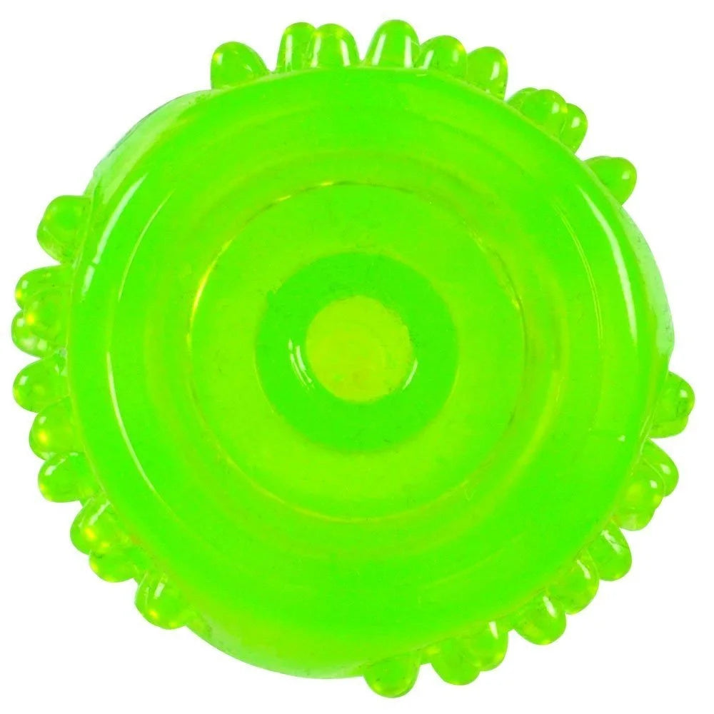 Super Squeaky Dog Toy, Green