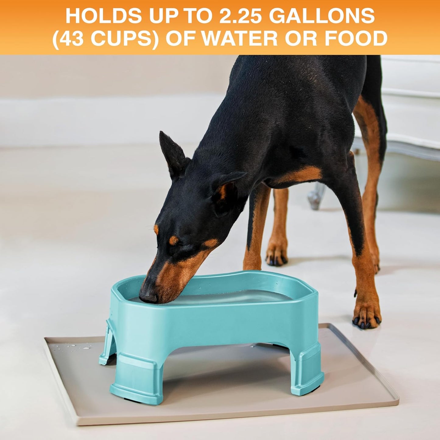 Extra Large Raised Dog Water Bowl (2.25 Gallon XL Capacity)