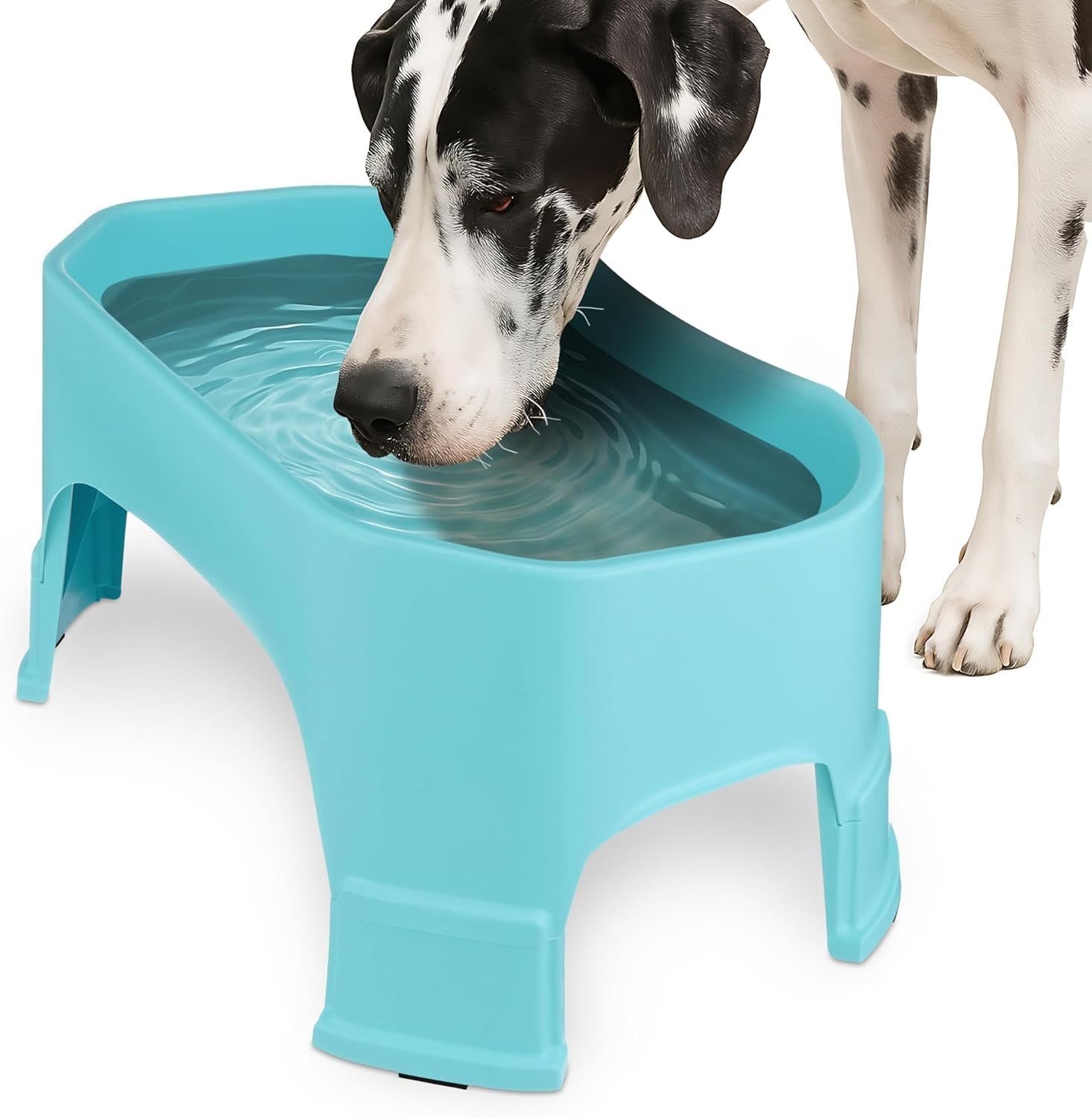 Extra Large Raised Dog Water Bowl (2.25 Gallon XL Capacity)
