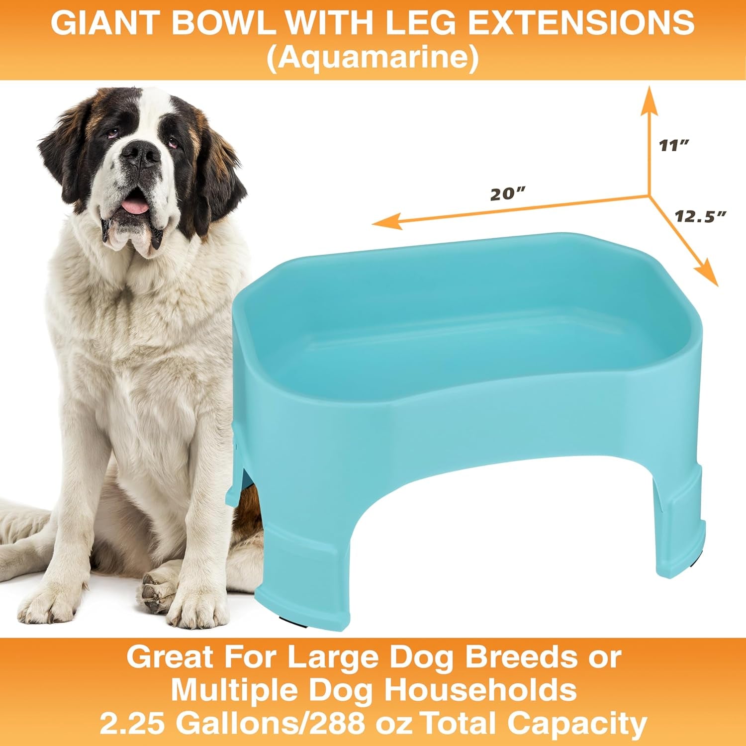 Extra Large Raised Dog Water Bowl (2.25 Gallon XL Capacity)