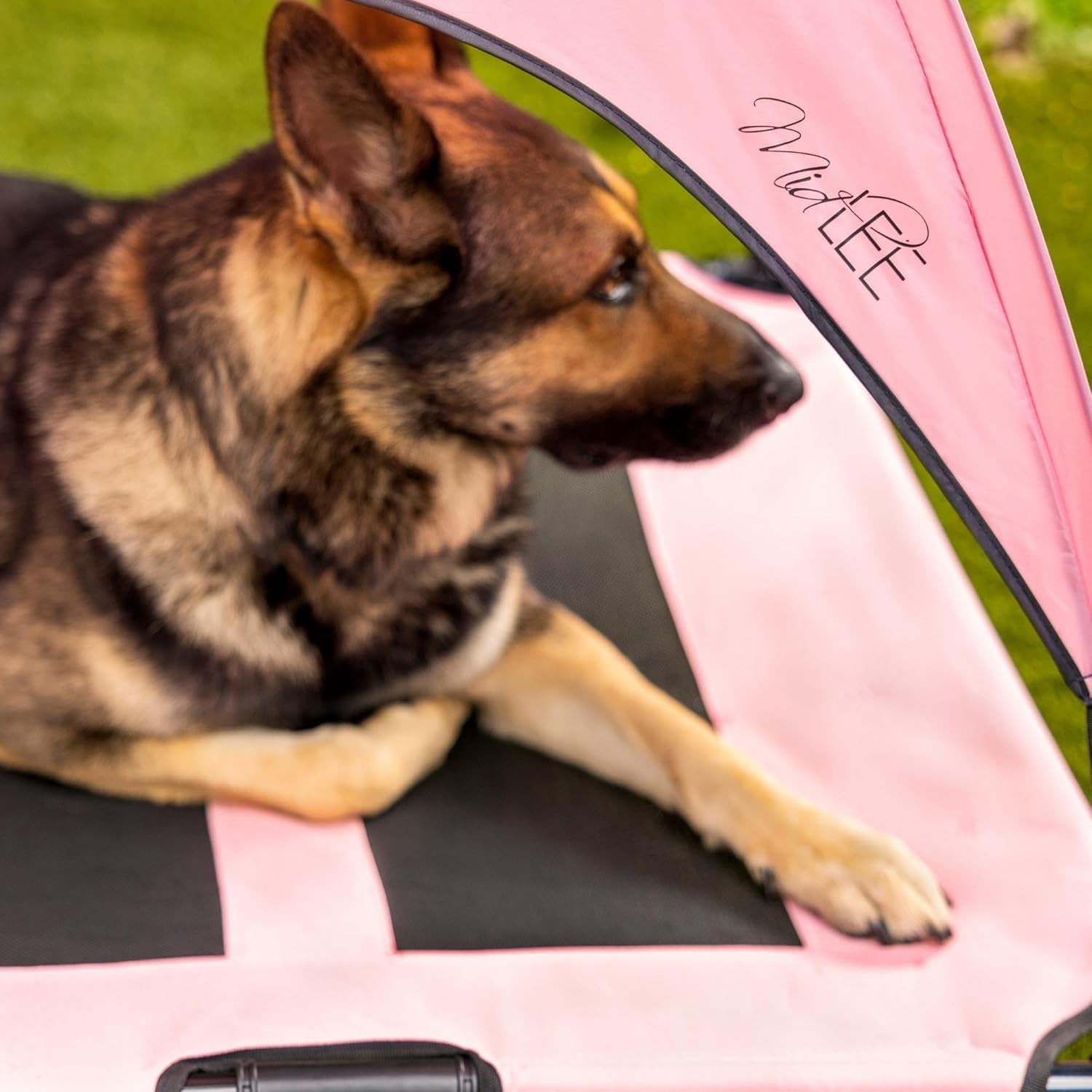 Pink Dog Cot Bed with Canopy (Large)- 30" X 36"