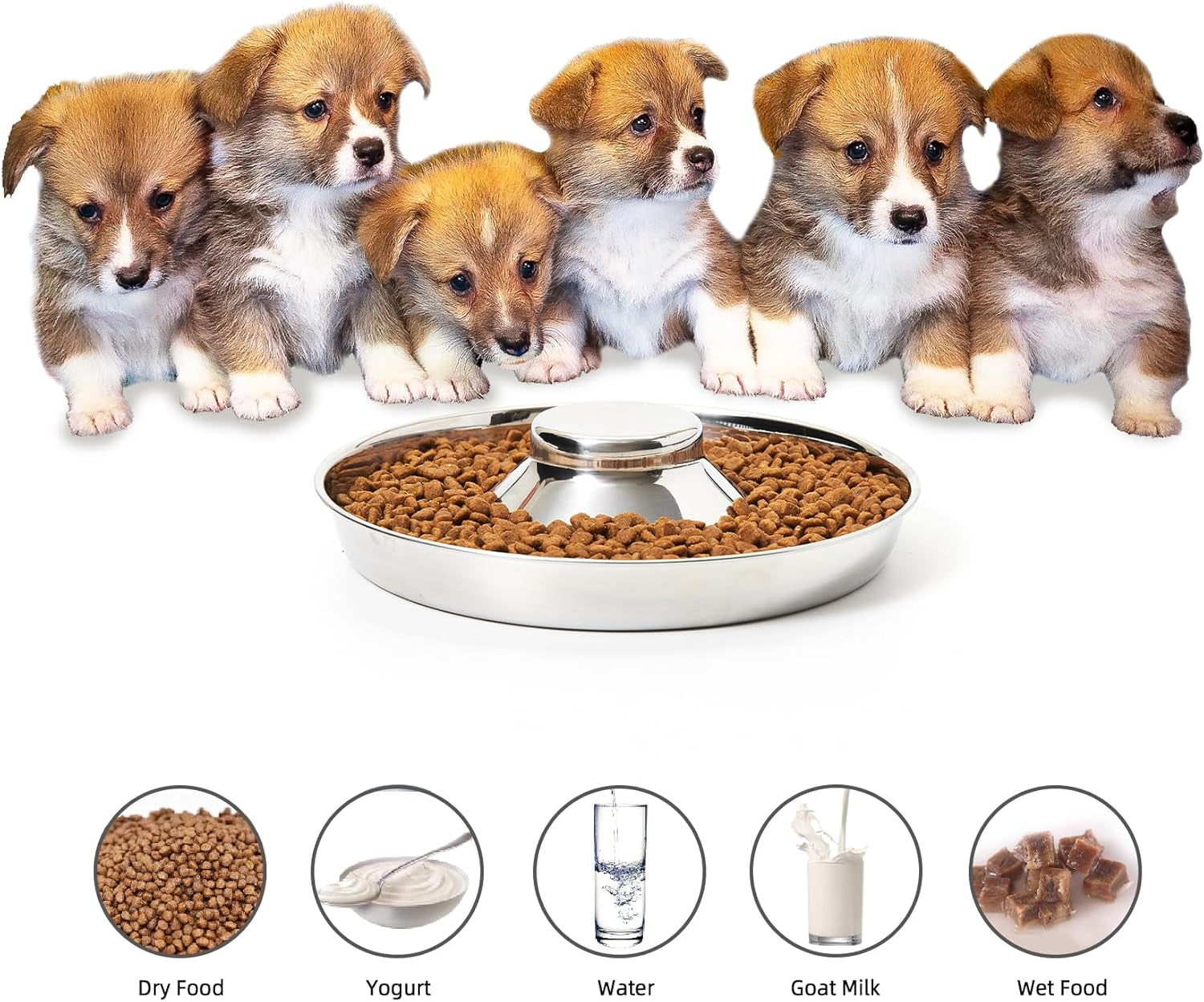 Stainless Steel Puppy Bowls, Set of 2
