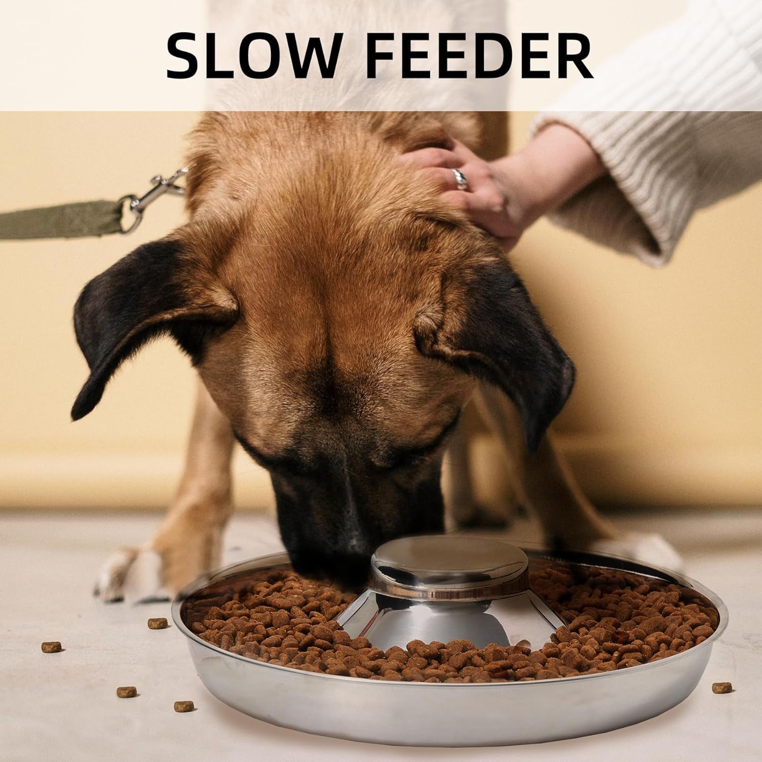Stainless Steel Puppy Bowls, Set of 2