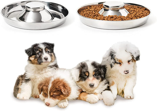 Stainless Steel Puppy Bowls, Set of 2