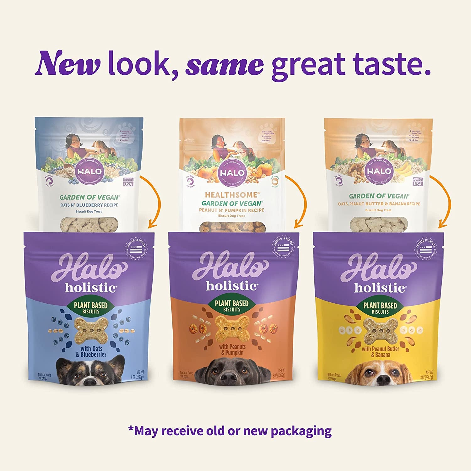 Holistic Vegan Dog Variety Treats(Pack of 3)