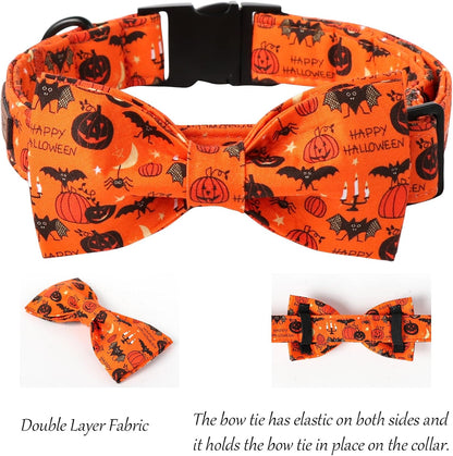 Fall Bat Halloween Dog Collar