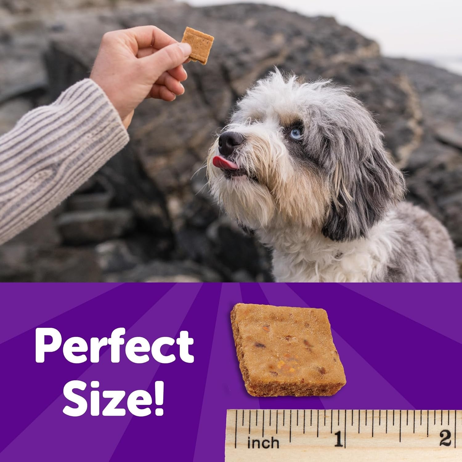 Rewarding Life Dog Treats