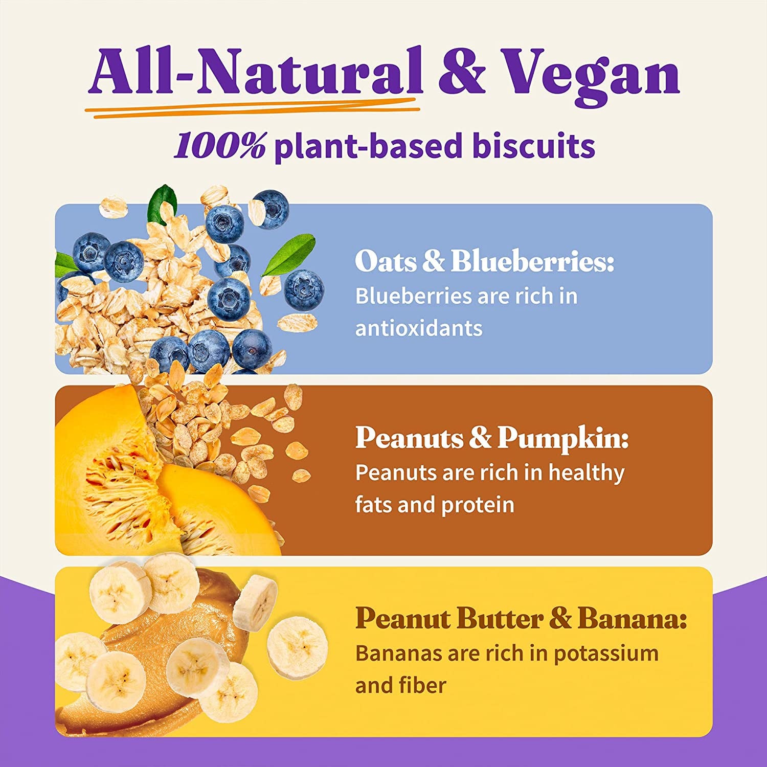 Holistic Vegan Dog Variety Treats(Pack of 3)